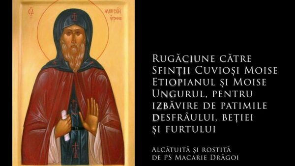 Rugăciune pentru răbdarea și înțelegerea fraților - Portal Rugăciuni
