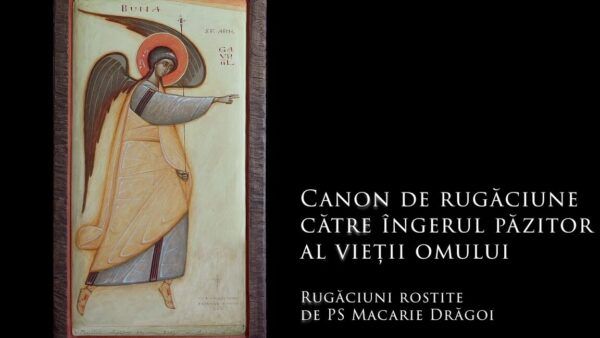 Rugăciune către îngerul păzitor pentru sprijin în momente de incertitudine - Portal Rugăciuni