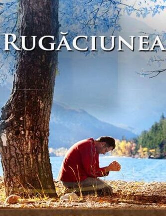 Curajul creștin în fața suferinței: O călătorie spirituală prin încercări și credință - Portal Rugăciuni