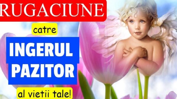 Rugăciune către îngerul păzitor pentru a cere protecția în fața obstacolelor - Portal Rugăciuni